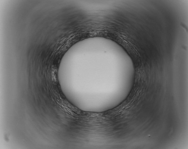 X0000101690770200807101207