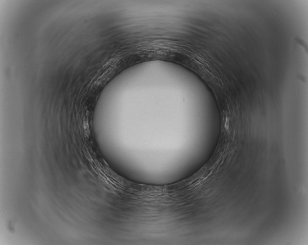 X0000101690771200807101207