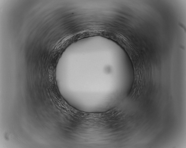 X0000101690773200807101207