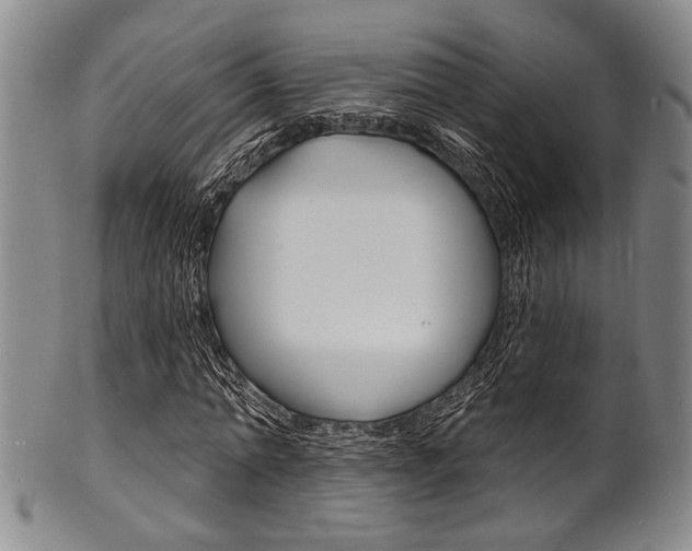 X0000101690774200807101207