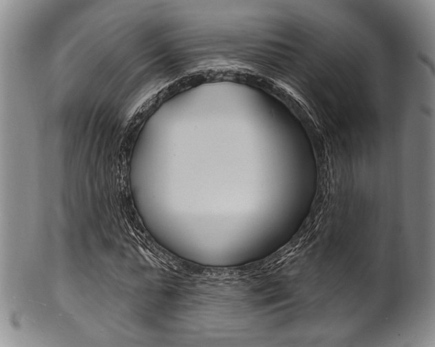 X0000101690775200807101207