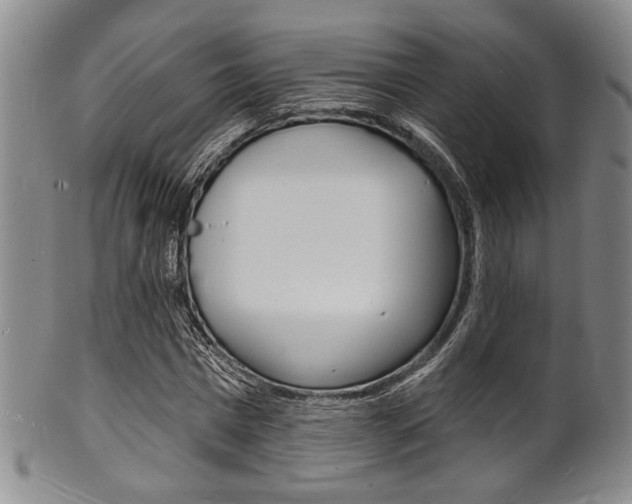 X0000101690777200807101207