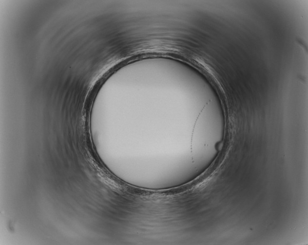 X0000101690779200807101207