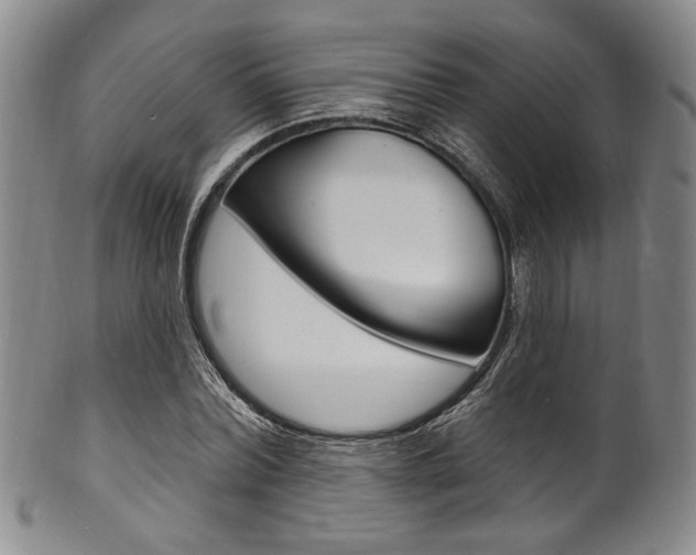 X0000101690780200807101207