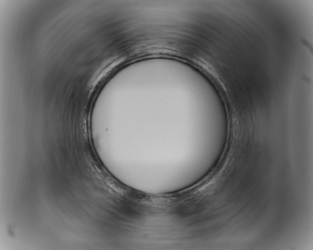 X0000101690782200807101207
