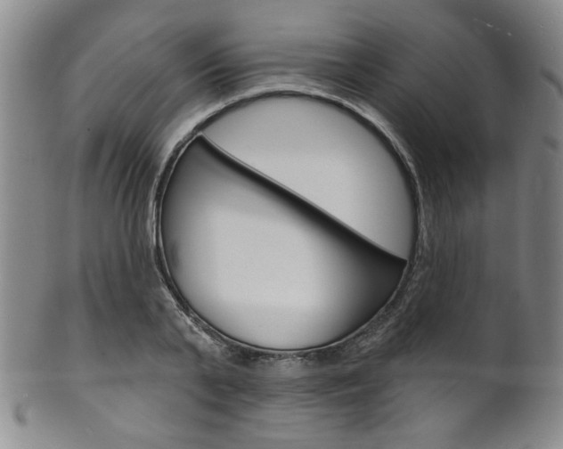 X0000101690791200807101207