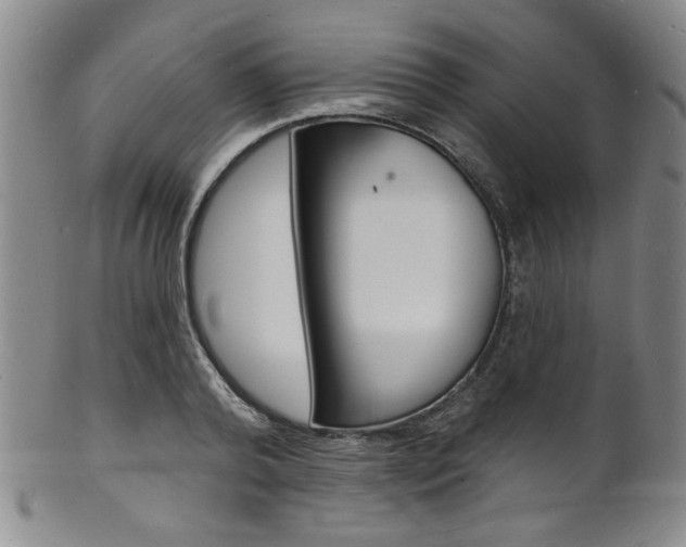 X0000101690792200807101207