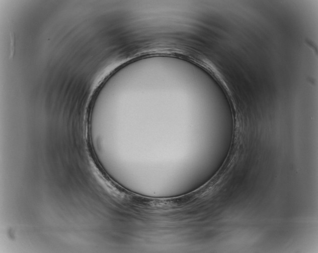 X0000101690795200807101207