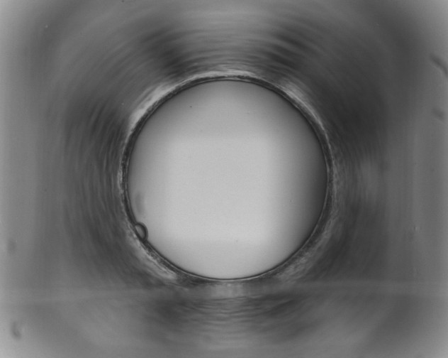 X0000101690797200807101207