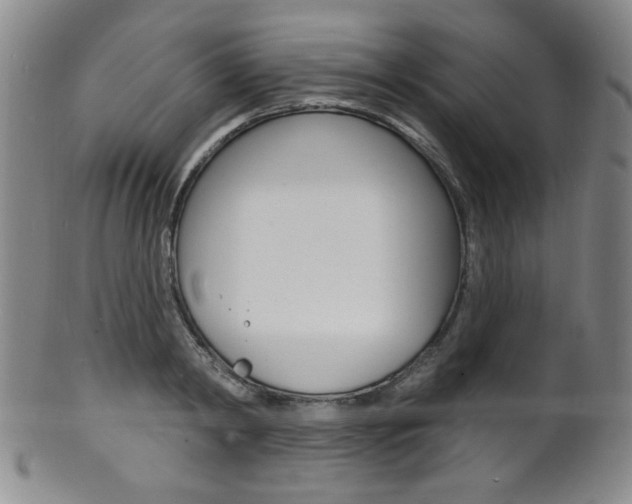 X0000101690798200807101207