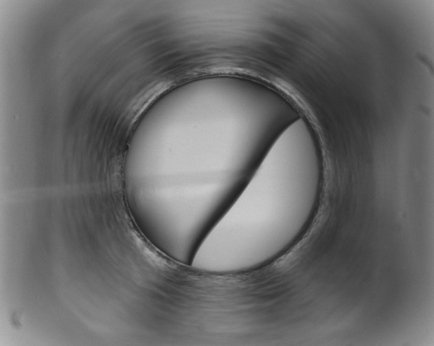 X0000101690801200807101207