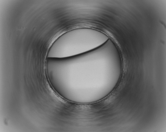 X0000101690802200807101207
