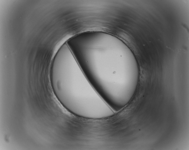 X0000101690804200807101206