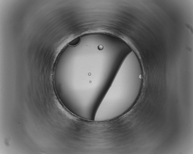 X0000101690805200807101206