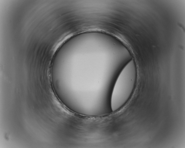 X0000101690806200807101206