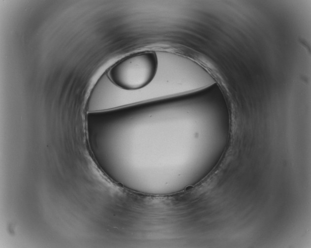 X0000101690808200807101206