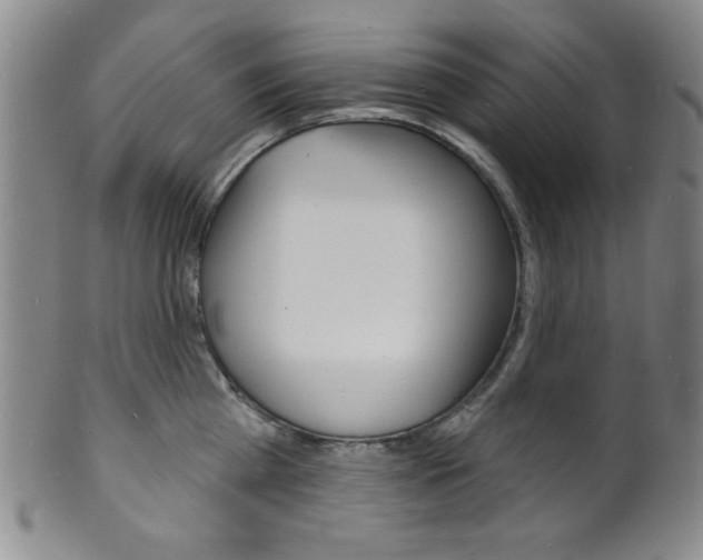 X0000101690809200807101206