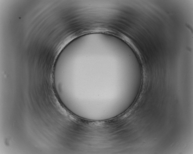 X0000101690810200807101206