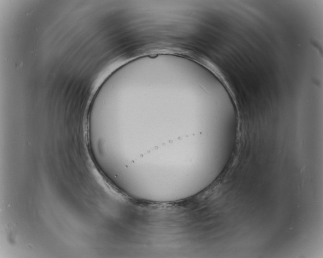 X0000101690811200807101206