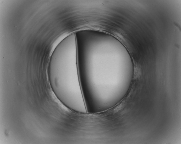X0000101690812200807101206