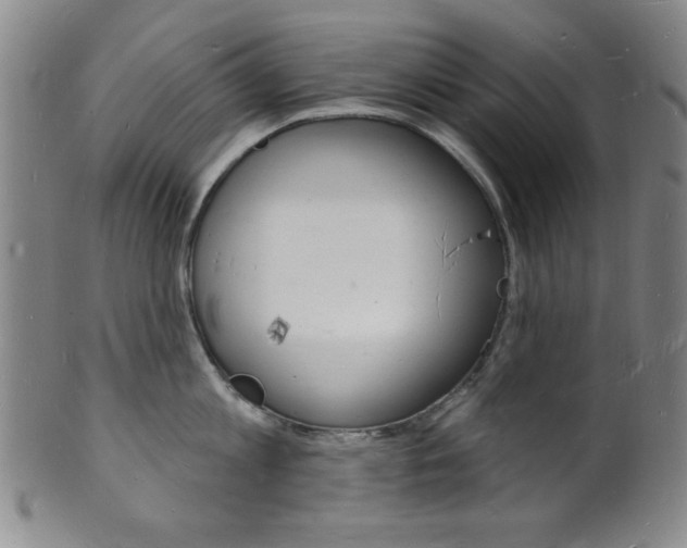 X0000101690813200807101206