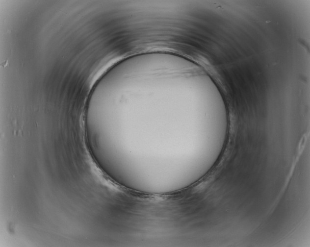 X0000101690814200807101206