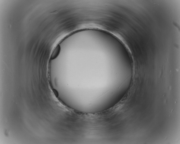 X0000101690815200807101206