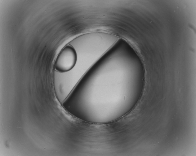 X0000101690816200807101206