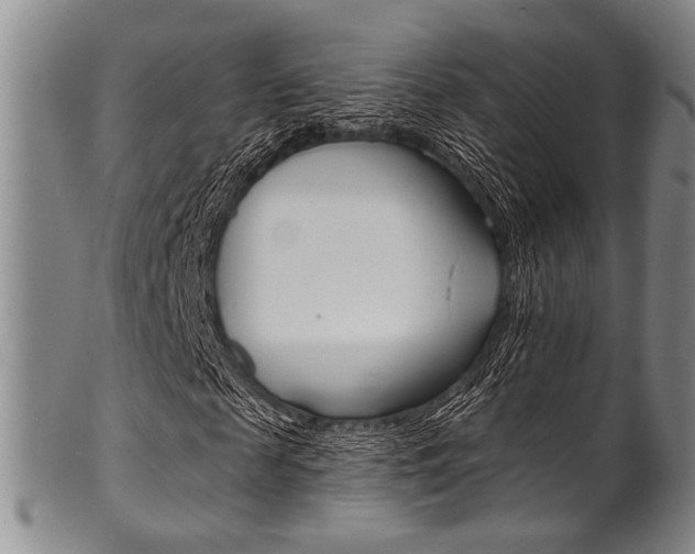 X0000101690817200807101206