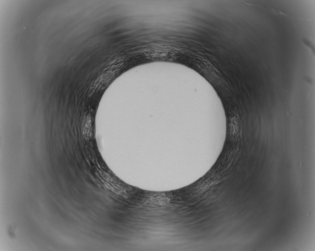 X0000101690820200807101206