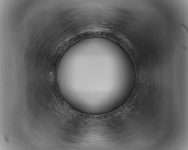 X0000101690821200807101206