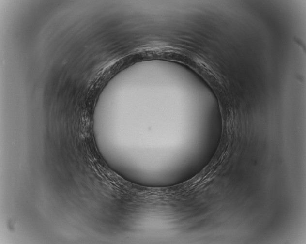 X0000101690822200807101206