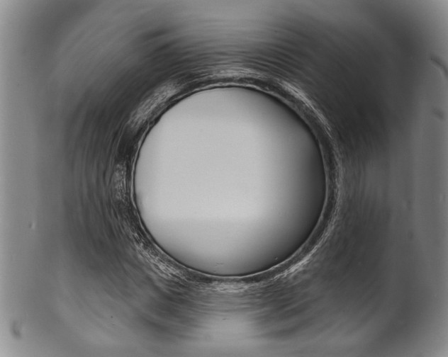 X0000101690825200807101206