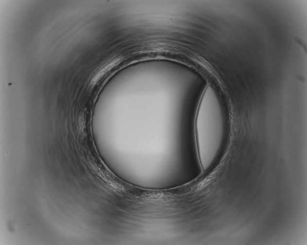 X0000101690826200807101206