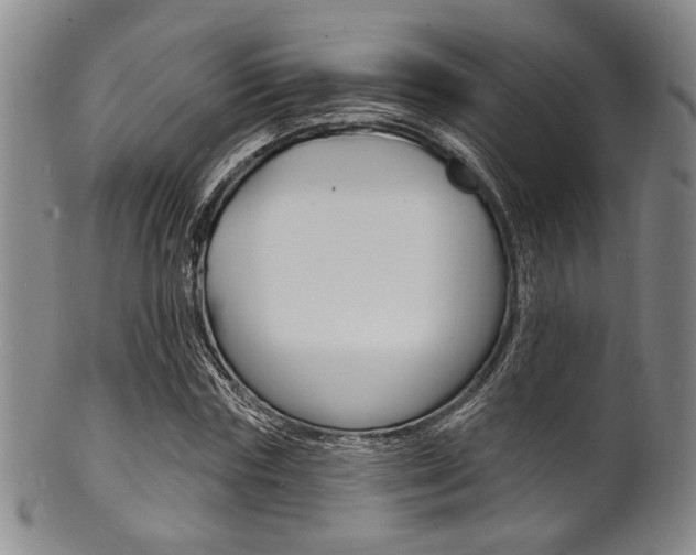 X0000101690827200807101206