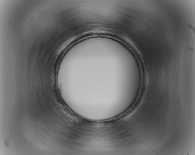 X0000101690829200807101206