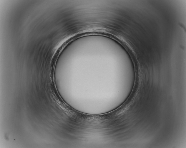 X0000101690830200807101206