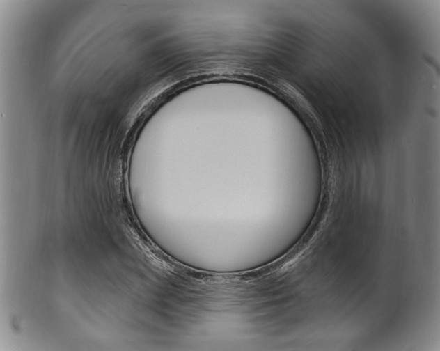 X0000101690831200807101206