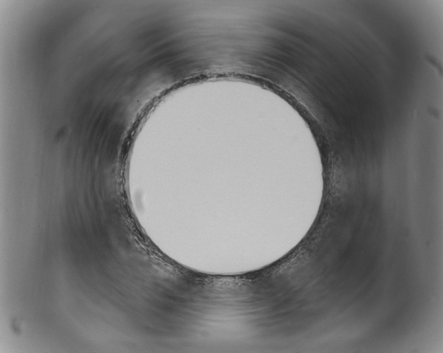 X0000101690832200807101206