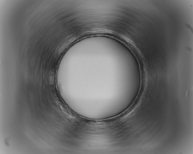X0000101690833200807101206