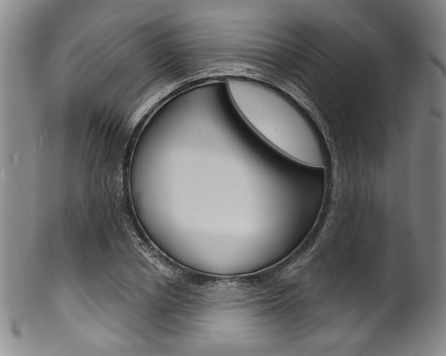 X0000101690834200807101206