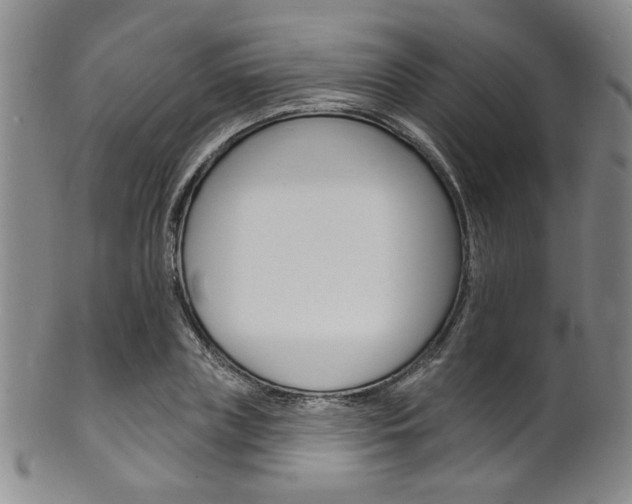 X0000101690835200807101206