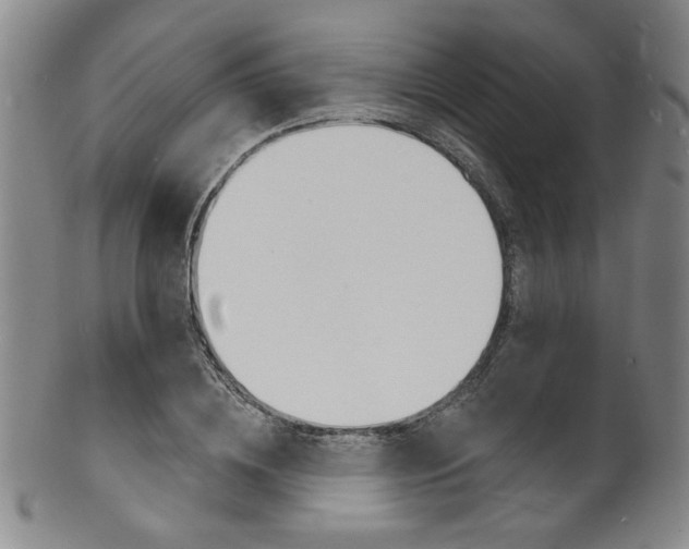 X0000101690836200807101206