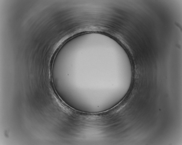 X0000101690837200807101206