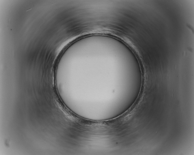 X0000101690838200807101206