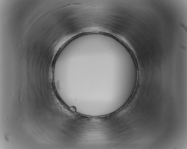 X0000101690839200807101206