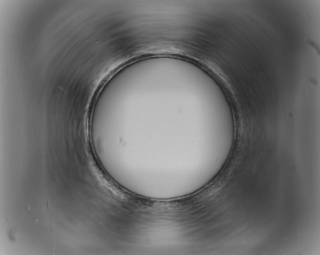 X0000101690840200807101206