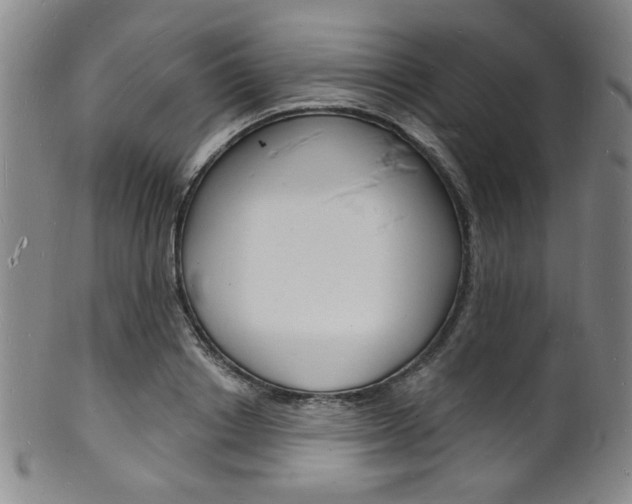X0000101690842200807101206