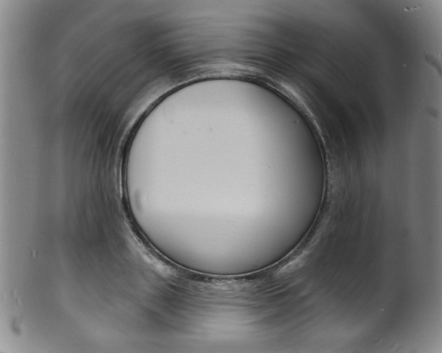 X0000101690843200807101206