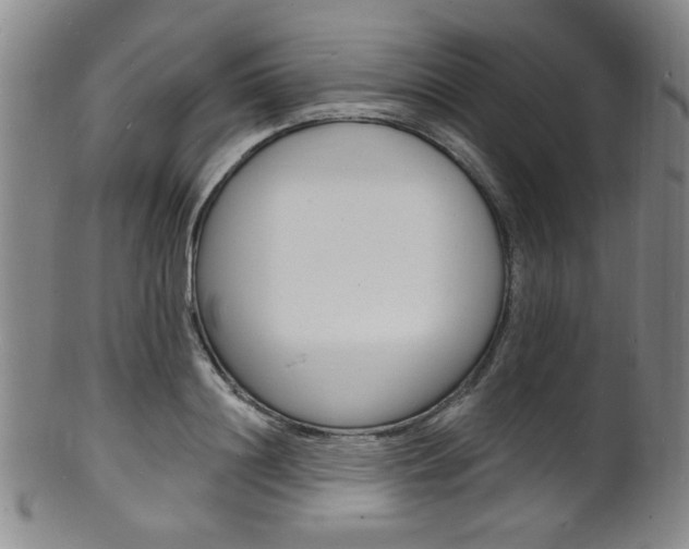 X0000101690844200807101206
